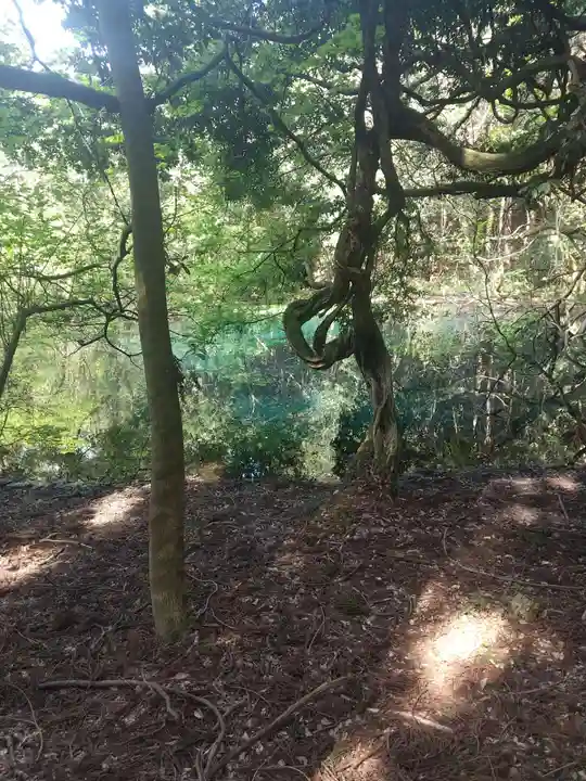 丸池神社(山形県)