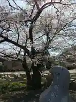 威徳院 極楽寺の自然