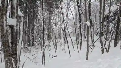 上川神社の自然