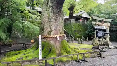 事任八幡宮(静岡県)