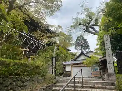 善峯寺(京都府)