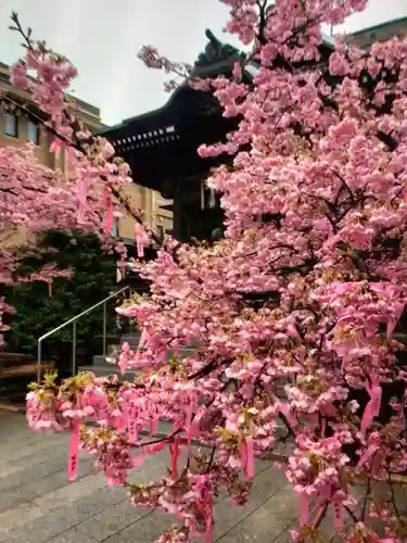桜神宮(東京都)