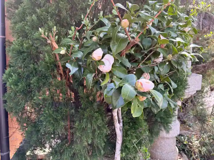 永澤寺(兵庫県)