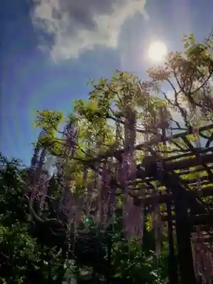愛染院(東京都)