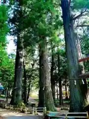 河口浅間神社の自然