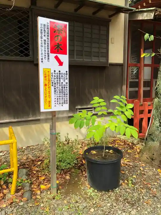 静岡浅間神社の自然