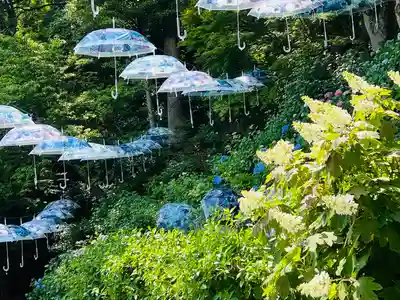 柳谷観音　楊谷寺(京都府)