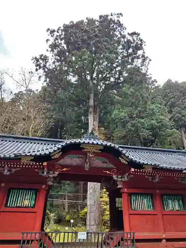 日光山輪王寺 常行堂(栃木県)