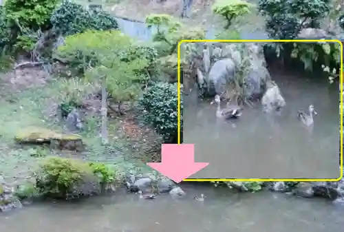 白狐山光星寺(山形県)