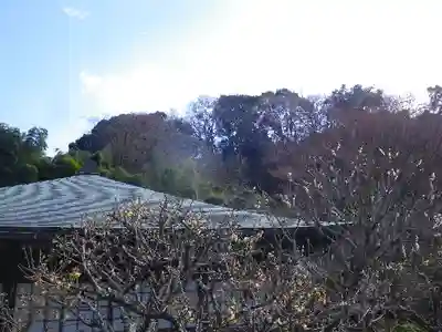 瑞泉寺のその他建物