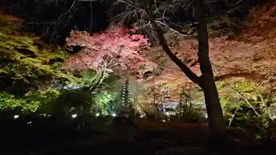 宝厳院(京都府)