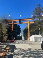 川越氷川神社の{uncategorized: "未分類", other: "その他", undefined: "問題あり", building: "その他建物", grave: "お墓", sacred_gate: "鳥居", guardian: "狛犬", statue: "像", buddha: "仏像", history: "歴史", nature: "自然", garden: "庭園", animal: "動物", pagoda: "塔", temizu: "手水舎", mountain_gate: "山門・神門", sanctuary: "本殿・本堂", subordinate: "末社・摂社", art: "芸術", scenery: "景色", jizo: "地蔵", ema: "絵馬", goshuin: "御朱印", omikuji: "おみくじ", items: "授与品その他", amulet: "お守り", goshuincho: "御朱印帳", eats: "食事", festival: "お祭り", votive_dance: "神楽", shichigosan: "七五三参", wedding: "結婚式", experience: "体験その他", initially: "初詣", around: "周辺", anti_infection: "感染症対策"}