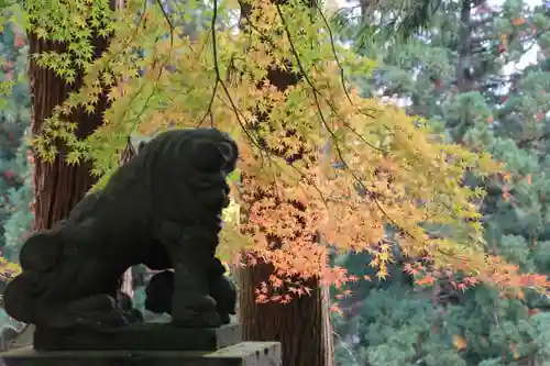 大山祇神社の狛犬