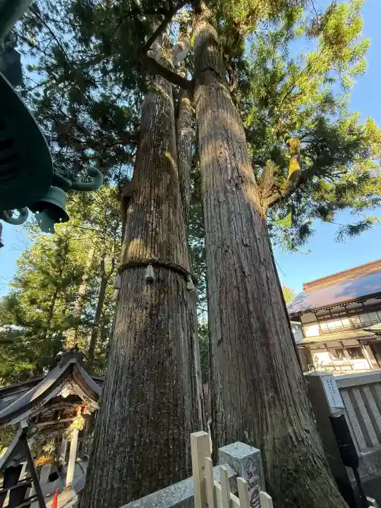 三峯神社の{uncategorized: "未分類", other: "その他", undefined: "問題あり", building: "その他建物", grave: "お墓", sacred_gate: "鳥居", guardian: "狛犬", statue: "像", buddha: "仏像", history: "歴史", nature: "自然", garden: "庭園", animal: "動物", pagoda: "塔", temizu: "手水舎", mountain_gate: "山門・神門", sanctuary: "本殿・本堂", subordinate: "末社・摂社", art: "芸術", scenery: "景色", jizo: "地蔵", ema: "絵馬", goshuin: "御朱印", omikuji: "おみくじ", items: "授与品その他", amulet: "お守り", goshuincho: "御朱印帳", eats: "食事", festival: "お祭り", votive_dance: "神楽", shichigosan: "七五三参", wedding: "結婚式", experience: "体験その他", initially: "初詣", around: "周辺", anti_infection: "感染症対策"}