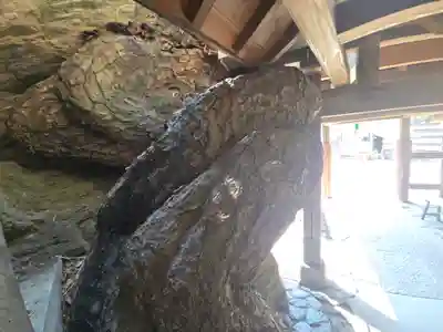 鹽竈神社(和歌山県)