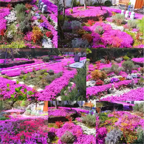 寿量山　速成寺(奈良県)