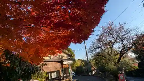 十輪寺(京都府)