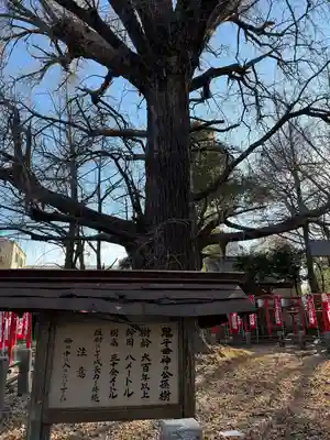 鬼子母神堂　(法明寺）(東京都)