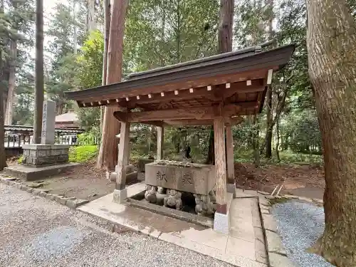 伊和神社の{uncategorized: "未分類", other: "その他", undefined: "問題あり", building: "その他建物", grave: "お墓", sacred_gate: "鳥居", guardian: "狛犬", statue: "像", buddha: "仏像", history: "歴史", nature: "自然", garden: "庭園", animal: "動物", pagoda: "塔", temizu: "手水舎", mountain_gate: "山門・神門", sanctuary: "本殿・本堂", subordinate: "末社・摂社", art: "芸術", scenery: "景色", jizo: "地蔵", ema: "絵馬", goshuin: "御朱印", omikuji: "おみくじ", items: "授与品その他", amulet: "お守り", goshuincho: "御朱印帳", eats: "食事", festival: "お祭り", votive_dance: "神楽", shichigosan: "七五三参", wedding: "結婚式", experience: "体験その他", initially: "初詣", around: "周辺", anti_infection: "感染症対策"}