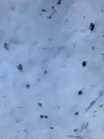 小滝不動尊(兵庫県)