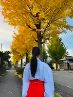 守りの神 藤基神社(新潟県)
