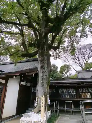 護王神社の{uncategorized: "未分類", other: "その他", undefined: "問題あり", building: "その他建物", grave: "お墓", sacred_gate: "鳥居", guardian: "狛犬", statue: "像", buddha: "仏像", history: "歴史", nature: "自然", garden: "庭園", animal: "動物", pagoda: "塔", temizu: "手水舎", mountain_gate: "山門・神門", sanctuary: "本殿・本堂", subordinate: "末社・摂社", art: "芸術", scenery: "景色", jizo: "地蔵", ema: "絵馬", goshuin: "御朱印", omikuji: "おみくじ", items: "授与品その他", amulet: "お守り", goshuincho: "御朱印帳", eats: "食事", festival: "お祭り", votive_dance: "神楽", shichigosan: "七五三参", wedding: "結婚式", experience: "体験その他", initially: "初詣", around: "周辺", anti_infection: "感染症対策"}