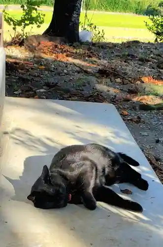 高司神社〜むすびの神の鎮まる社〜(福島県)