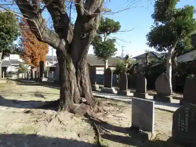 香取神社(千葉県)