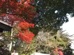 検見川神社の景色