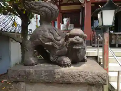 千住本氷川神社の狛犬