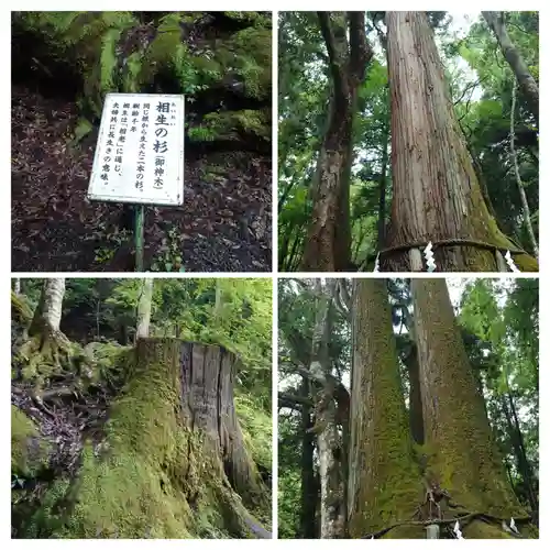 貴船神社奥宮(京都府)