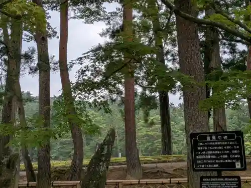 毛越寺(岩手県)