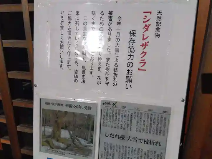 足羽神社(福井県)