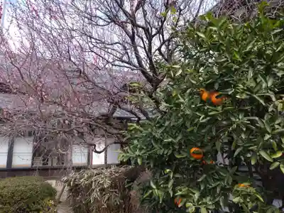 大國魂神社(東京都)