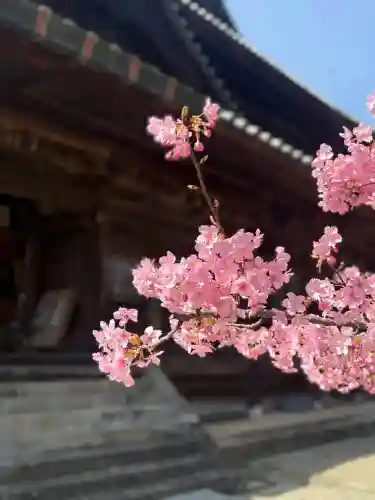 粉河寺の{uncategorized: "未分類", other: "その他", undefined: "問題あり", building: "その他建物", grave: "お墓", sacred_gate: "鳥居", guardian: "狛犬", statue: "像", buddha: "仏像", history: "歴史", nature: "自然", garden: "庭園", animal: "動物", pagoda: "塔", temizu: "手水舎", mountain_gate: "山門・神門", sanctuary: "本殿・本堂", subordinate: "末社・摂社", art: "芸術", scenery: "景色", jizo: "地蔵", ema: "絵馬", goshuin: "御朱印", omikuji: "おみくじ", items: "授与品その他", amulet: "お守り", goshuincho: "御朱印帳", eats: "食事", festival: "お祭り", votive_dance: "神楽", shichigosan: "七五三参", wedding: "結婚式", experience: "体験その他", initially: "初詣", around: "周辺", anti_infection: "感染症対策"}