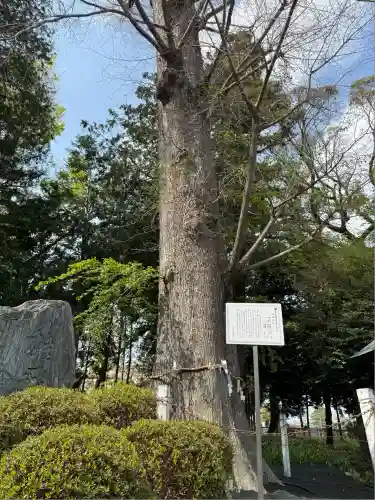深見神社(神奈川県)