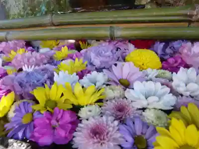 安國論寺（安国論寺）(神奈川県)