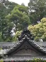 天森神社(兵庫県)