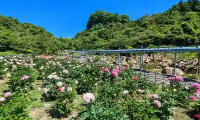 金蛇水神社(宮城県)
