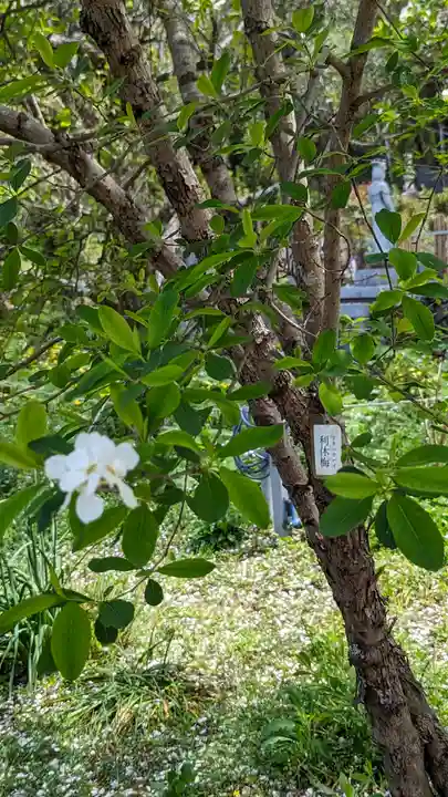 惠心院(京都府)