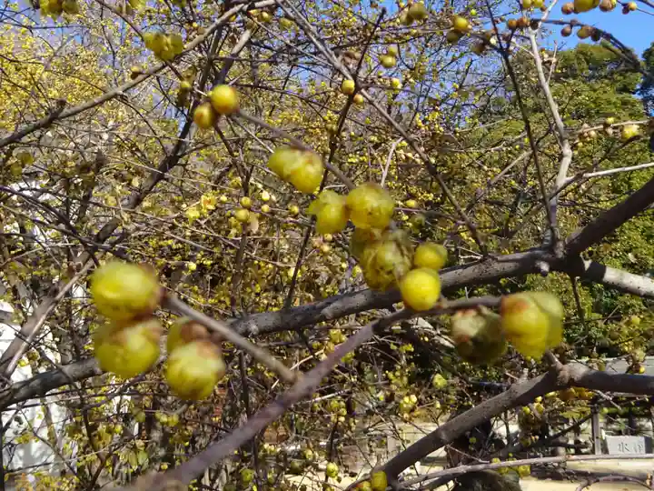 阿邪訶根神社の自然