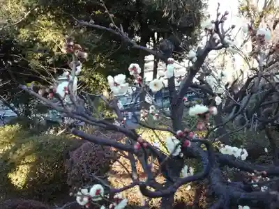 正福寺(神奈川県)