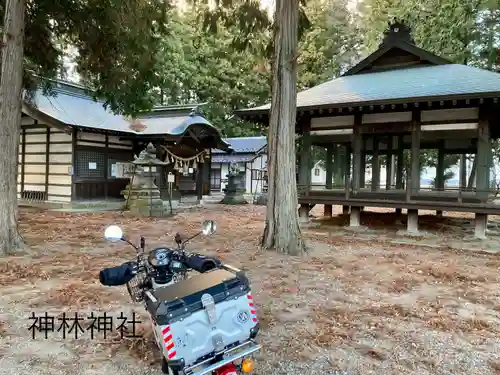 神林神社(長野県)
