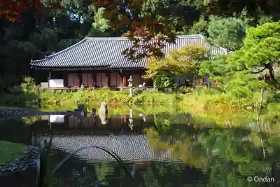浄瑠璃寺(京都府)