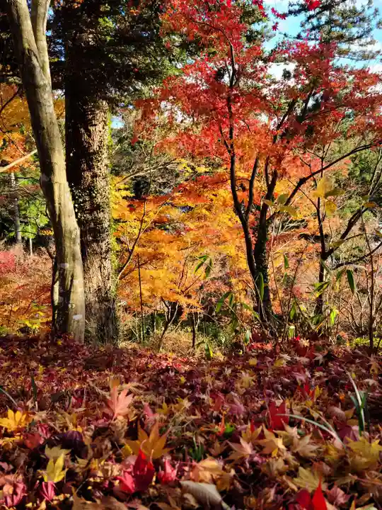 石都々古和気神社の自然