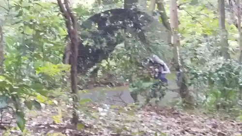 明治神宮(東京都)