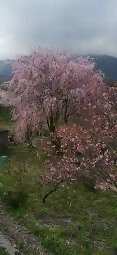 西善寺(埼玉県)