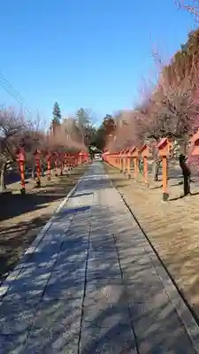 朝日森天満宮(栃木県)