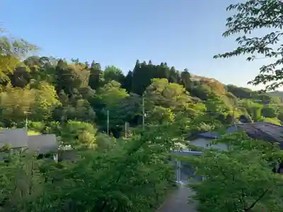 山神社(千葉県)