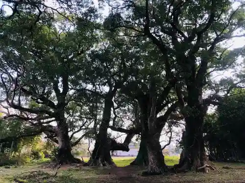 大汝牟遅神社の自然